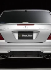 Wald International Black Bison Rear Bumper Mercedes-Benz E-Class 03-09                                     - W211.BB.RB.03 - Image 2