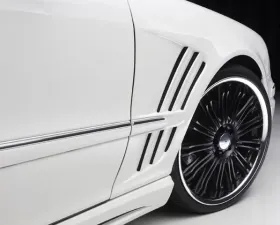 Wald International Black Bison Fender Set Mercedes-Benz S-Class 03-06