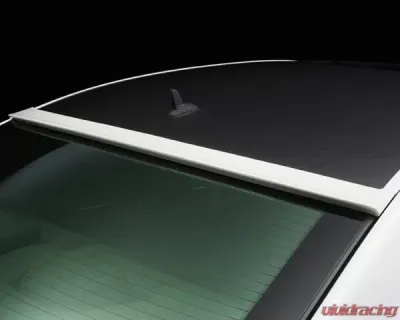 Wald International Black Bison Roof Wing Mercedes-Benz S-Class 10+ - W216.RW.07