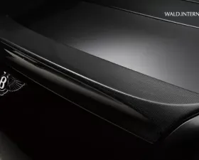 Wald International Black Bison Trunk Wing Bentley Continental GT 04-07