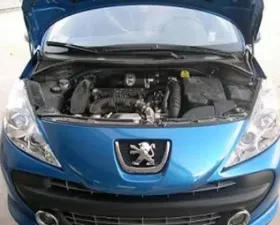 BMC 2006 Peugeot 207 / CC / SW 1.6L 16V THP Feline Carbon Dynamic Airbox Kit