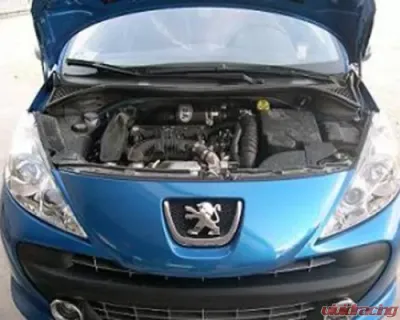 BMC 2006 Peugeot 207 / CC / SW 1.6L 16V THP Feline Carbon Dynamic Airbox Kit - ACCDASP-27