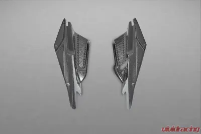 Capristo Exhaust Matte Carbon Side Engine Compartment Covers Ferrari 458 Italia | Special 2010-2015 - 03FE00410009LM