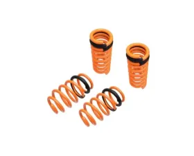 Megan Racing Lowering Springs Dodge Challenger 2011-2016