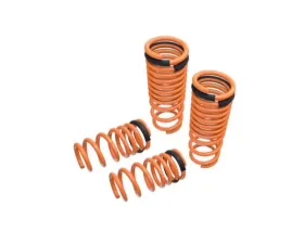 Megan Racing Lowering Springs Nissan GT-R (R35) 2009-2015