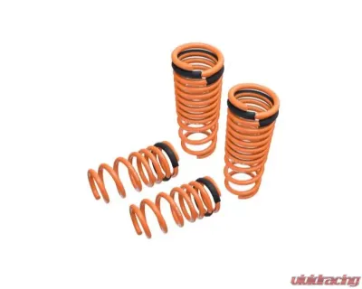 Megan Racing Lowering Springs Nissan GT-R (R35) 2009-2015 - MR-LS-NR35