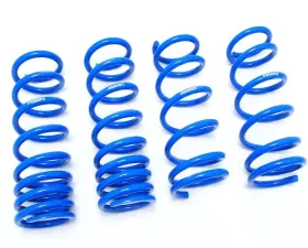 Megan Racing Blue Performance Lowering Springs Lexus GS300 | GS350 | GS460 RWD 2006-2012