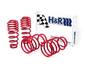 H&R Race Springs Ford Mustang GT 05-10