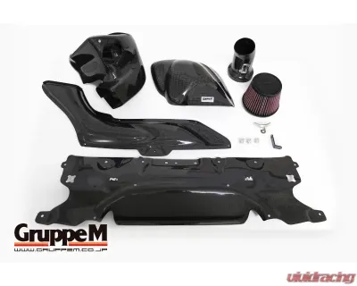 GruppeM Ram Air System BMW G30/G31 523i/530i 2017-2021 - FRI-0351