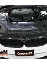 GruppeM Ram Air System BMW G30/G31 523i/530i 2017-2021                                     - FRI-0351 - Image 3