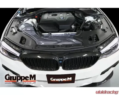 GruppeM Ram Air System BMW G30/G31 523i/530i 2017-2021 - FRI-0351