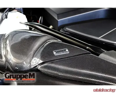 GruppeM Ram Air System BMW G30/G31 523i/530i 2017-2021 - FRI-0351