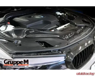 GruppeM Ram Air System BMW G30/G31 523i/530i 2017-2021 - FRI-0351