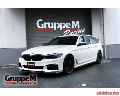 GruppeM Ram Air System BMW G30/G31 523i/530i 2017-2021 - FRI-0351