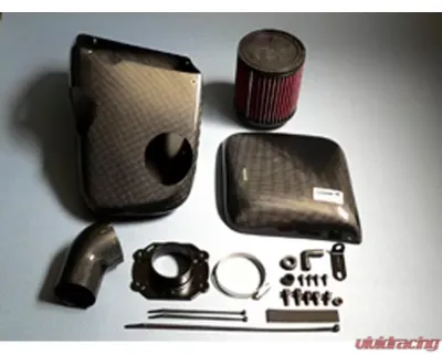GruppeM Carbon Fiber Ram Air Intake System Mini Cooper R50/R52/R53 01-08 - FRI-0300