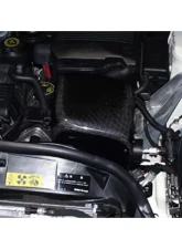 GruppeM Carbon Fiber Ram Air Intake System Mini Cooper R50/R52/R53 01-08                                     - FRI-0300 - Image 2