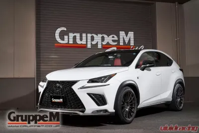 GruppeM Carbon Fiber Ram Air Intake System Lexus NX300 2.0L Turbo 2017-2021 - FR-0132