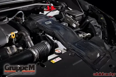 GruppeM Carbon Fiber Ram Air Intake System Lexus NX300 2.0L Turbo 2017-2021 - FR-0132
