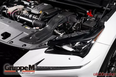 GruppeM Carbon Fiber Ram Air Intake System Lexus NX300 2.0L Turbo 2017-2021 - FR-0132