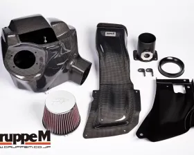 GruppeM Carbon Fiber Ram Air Intake System Lexus NX300 2.0L Turbo 2017-2021