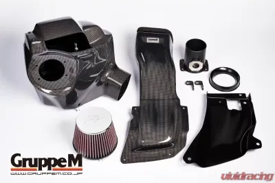 GruppeM Carbon Fiber Ram Air Intake System Lexus NX300 2.0L Turbo 2017-2021 - FR-0132