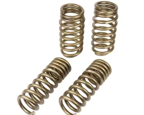 Hurst Spring Kit Dodge Challenger Front and Rear 2011-2020