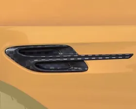 Mansory Carbon Fiber Front Fender 