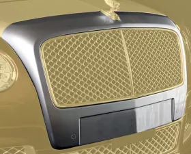 Mansory Non-Visible Carbon Fiber Front Grill Mask Primed for B-Sculpture Bentley Continental Flying Spur V8 2015