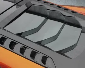 Mansory Carbon Fiber with Glass Inlay Bonnet McLaren MP4-12C 12-14