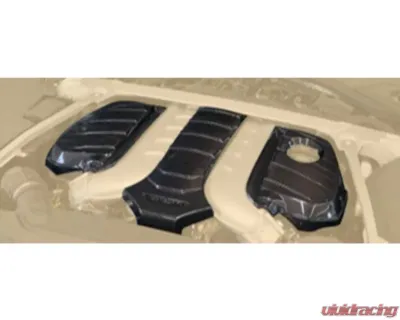 Mansory Carbon Engine Cover For W12 Bentley Continental GT | GTC 2018 - 3S3 240 841