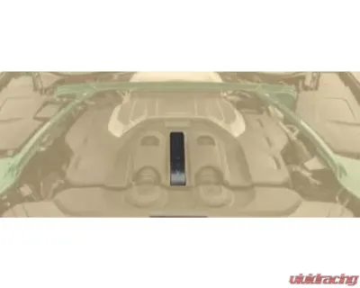 Mansory Carbon Engine Cover For V8 Bentley Continental GT | GTC 2018 - 3S3 240 941