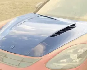 Mansory Engine Bonnet Porsche 971 Panamera 17-18