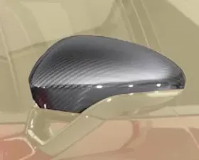 Mansory Mirror Cap Porsche 971 Panamera 17-18