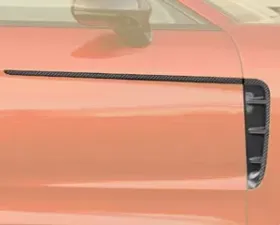 Mansory Fender Wing Sheet w/ Door Stripe Porsche 971 Panamera 17-19