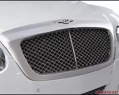 Mansory Chrome Radiator Grill Frame Bentley Continental Flying Spur 05-13 - 630 888 659