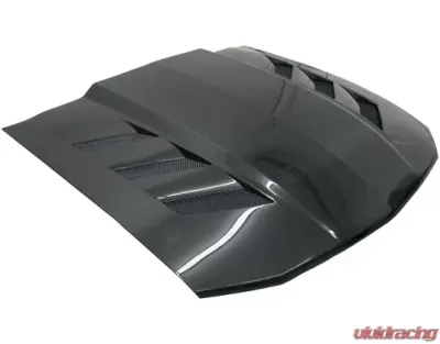 VIS Racing AMS Style Black Carbon Fiber Hood Ford Mustang 2005-2009 - 05FDMUS2DAMS-010C