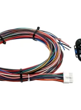 AEM Electronics V2 Water Methanol HD Controller Kit                                     - 30-3306 - Image 2