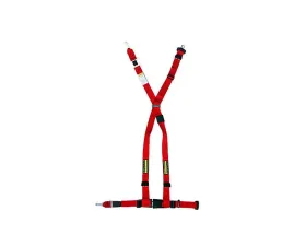 Schroth Racing Quick Fit Blue LT Belt BMW E46 98-06