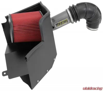 AEM Induction AEM Brute Force Intake System Ram 1500 2013-2014 5.7L V8 - 21-8228DC