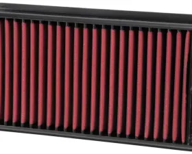 AEM Induction AEM DryFlow Air Filter