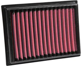 AEM Induction AEM DryFlow Air Filter