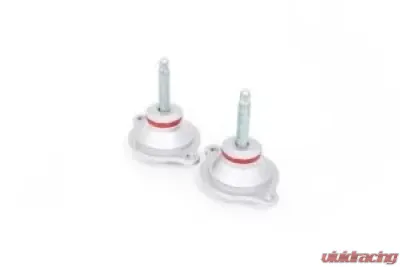 Rennline Tunable Semi-Solid Engine Mount Porsche 911 | 930 1963-1989 - M24