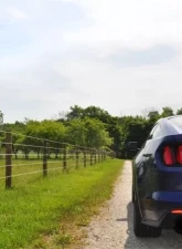 CORSA Performance 3.0" Catback Exhaust Dual Rear Exit w/Single 4.5" Black PVD Pro-Series Tips Ford Mustang EcoBoost Fastback 2015-2022                                     - 14343BLK - Image 2
