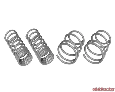 Whiteine Performance Lowering Springs Subaru Impreza | WRX 2008-2022 - WSK-SUB005