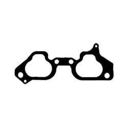 Gaskets & Seals