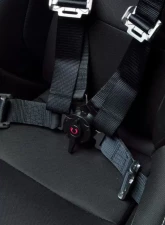 Cipher Auto Racing Black 4 Point Camlock Racing Harness Set                                     - CPA4001BKV2 - Image 3