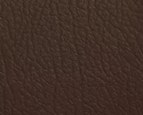 Cipher Auto Maroon Leatherette Seat Material Matte Finish - Yard