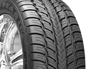 Goodyear Fortera SL Tire 305/40 R22 114HxL VSB