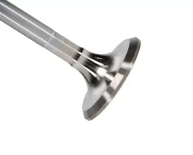 Manley Valve - Exhaust, Valve-SBC B/R 1.600