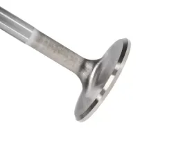 Manley Valve - Exhaust, Valve-SBC S/F 1.600